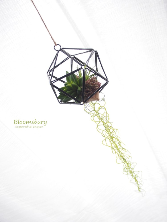 Hanging Succulent(多肉植物) ~ポリゴンオーナメント~ 3枚目の画像