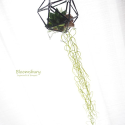 Hanging Succulent(多肉植物) ~ポリゴンオーナメント~ 4枚目の画像