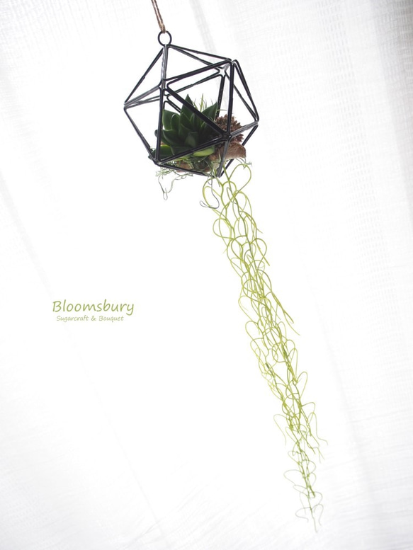 Hanging Succulent(多肉植物) ~ポリゴンオーナメント~ 4枚目の画像
