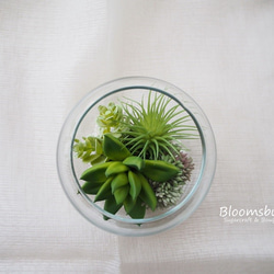 ～Succulent ＜多肉植物＞in glass ball～ 4枚目の画像