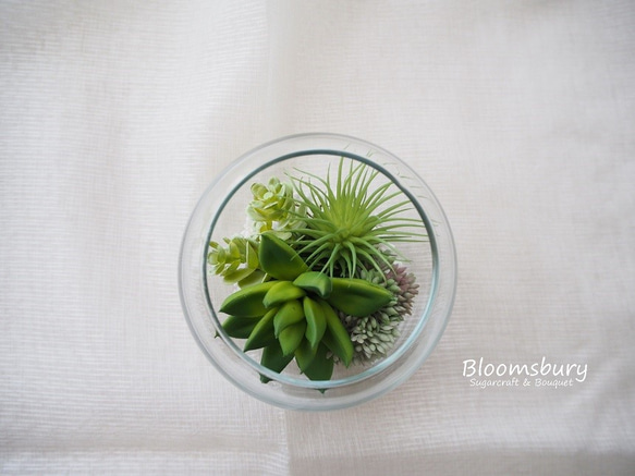 ～Succulent ＜多肉植物＞in glass ball～ 4枚目の画像