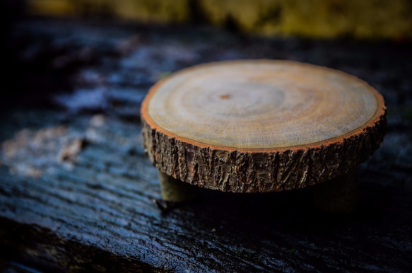 珍貴樟樹迷你原木桌-(純手工製作) 第1張的照片