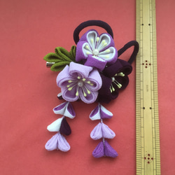 梅花（紫） 5枚目の画像
