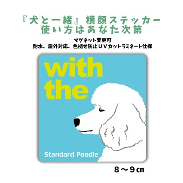 スタンダードプードル ホワイト DOG IN CAR 横顔ステッカー 『犬と一緒』玄関 車 名入れ 1枚目の画像