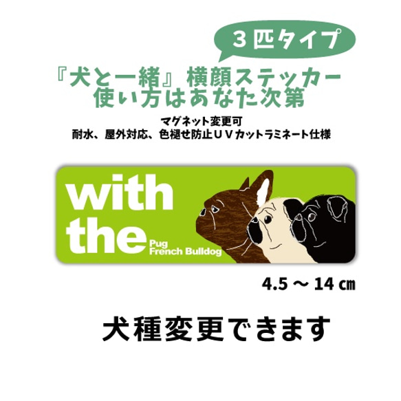 【再販6】愛犬3匹並んで DOG IN CAR 横長ステッカー 多頭犬 ブリーダー 車玄関 マグネット 1枚目の画像