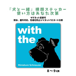 【再販】ミニチュアシュナウザー 黒 DOG IN CAR『犬と一緒』 横顔ステッカー 名入れ 車 玄関 1枚目の画像