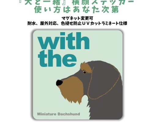 ミニチュアダックスフンド ワイヤーヘアー ワイルドボア DOG IN