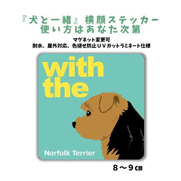 ノーフォークテリア DOG IN CAR 『犬と一緒』横顔 ステッカー 名入れ  車 玄関 マグネット可 シール 1枚目の画像