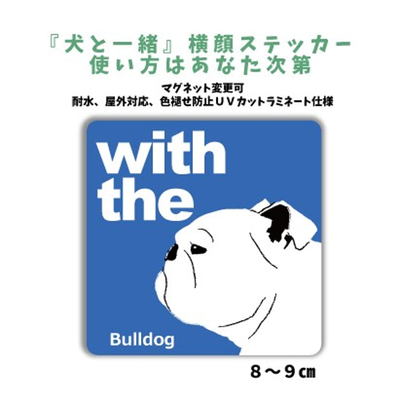 イングリッシュブルドッグ ホワイト DOG IN CAR 『犬と一緒』横顔 ステッカー 車 玄関 名入れ シール 1枚目の画像