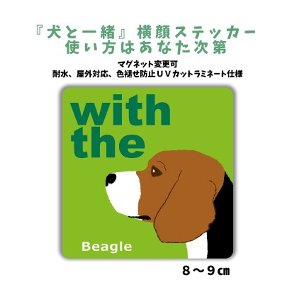 【再販2】ビーグル犬 DOG IN CAR 『犬と一緒』横顔ステッカー 車 玄関 名入れ セミオーダー 1枚目の画像