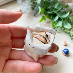 陶器の鉱石ウミウシちゃん ベニヤカタガイ/ 陶磁器 置物 デスク ペーパーウェイト 海の宝石 4枚目の画像