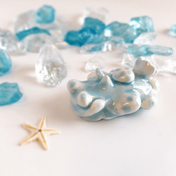 シロボンボンウミウシ/陶器のウミウシ 1枚目の画像