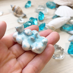 シロボンボンウミウシ/陶器のウミウシ 2枚目の画像