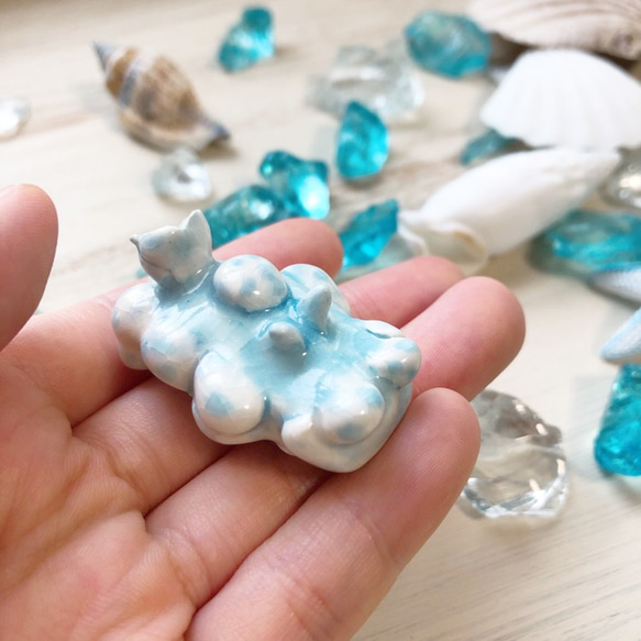 シロボンボンウミウシ/陶器のウミウシ 2枚目の画像