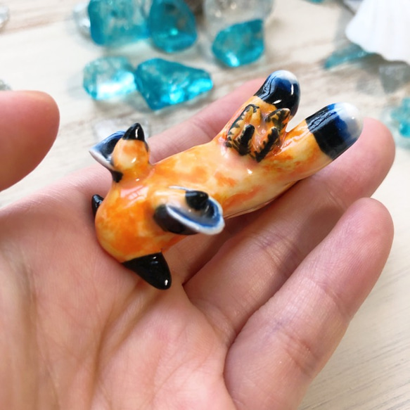 ウデフリツノザヤウミウシ/陶器のウミウシ 3枚目の画像