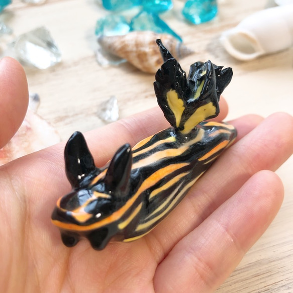 イシガキリュウグウウミウシ/陶器のウミウシ 4枚目の画像