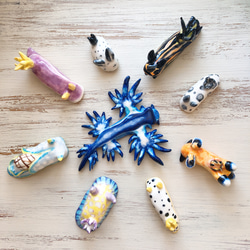 イシガキリュウグウウミウシ/陶器のウミウシ 5枚目の画像