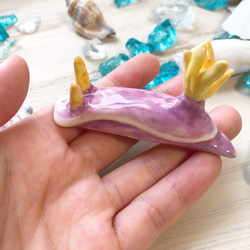 シンデレラウミウシ/陶器のウミウシ 4枚目の画像