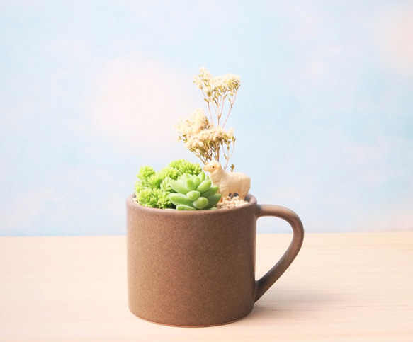 〈草原吹吹風〉多肉乾燥花盆栽 Succulents potted 第1張的照片