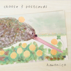 41 happy kiwi・3枚選べるpostcard 1枚目の画像