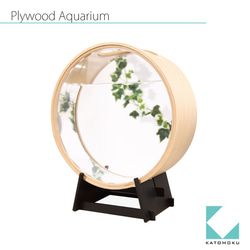 KATOMOKU plywood aquarium　km-51 6枚目の画像