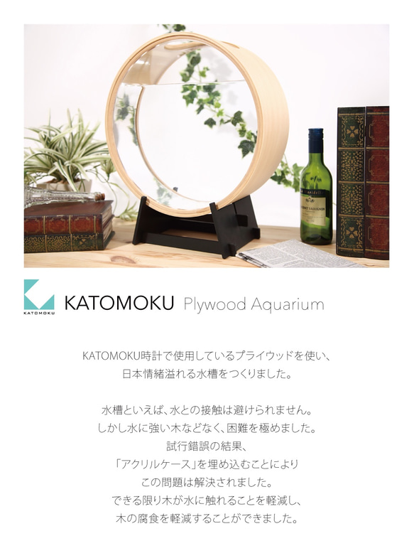 KATOMOKU plywood aquarium　km-51 7枚目の画像