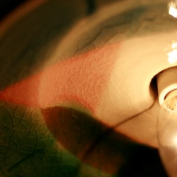 カラフルな丸いランプセード２　１８ 3枚目の画像