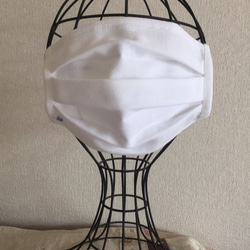 ☆ワンポイント☆刺繍入りのプリーツマスク（ノーズワイヤー入り）男女兼用 2枚目の画像