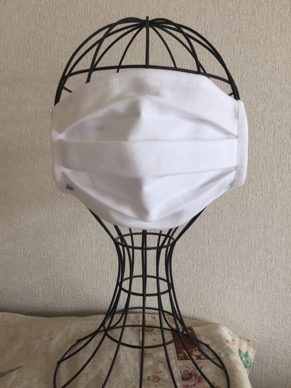 ☆ワンポイント☆刺繍入りのプリーツマスク（ノーズワイヤー入り）男女兼用 2枚目の画像