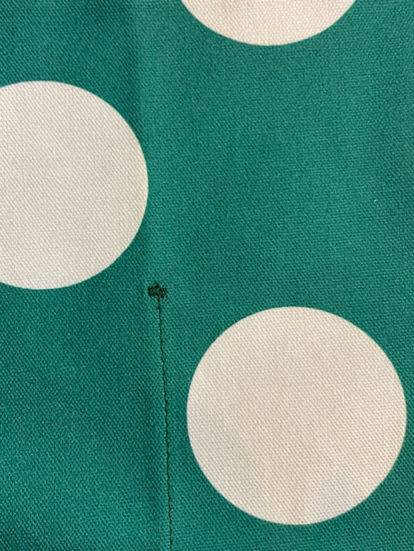 フラメンコ　シューズケース　緑地にアイボリーの水玉模様 4枚目の画像