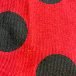 フラメンコ　シューズケース　赤地に黒の水玉模様 4枚目の画像