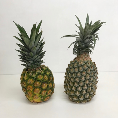 オリジナルハンドメイド　カラフルパイナップル ぷっくりパイナップル 羊毛フェルト フルーツ ブローチ - きのこ