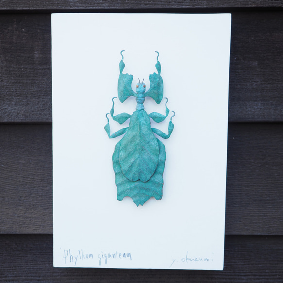 オオコノハムシ　緑青昆虫 2枚目の画像