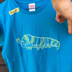 ナミアゲハ幼虫Tシャツ ターコイズブルーガールズM 3枚目の画像