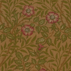 [moda] Sweet Briar/William Morris/cotton sheeting fabric/棕色 第2張的照片