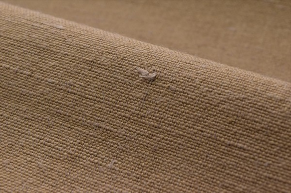 [黃麻帆布] Corchorus膠囊棉混紡/9號帆布面料/日本製造/摩卡米色/稍難 第6張的照片