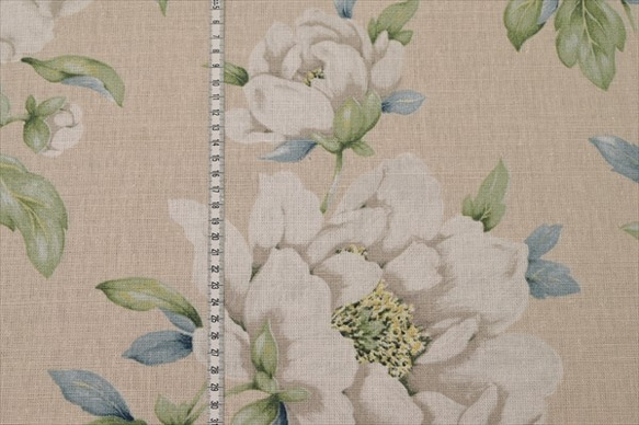 50cm [Laura Ashley] Laura Ashley / Wisley / WISLEY /花朵圖案/半亞麻織物/英 第8張的照片