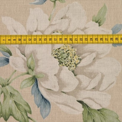 50cm [Laura Ashley] Laura Ashley / Wisley / WISLEY /花朵圖案/半亞麻織物/英 第10張的照片