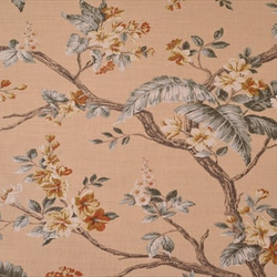 50cm [Laura Ashley] Laura Ashley /佛羅倫薩/ FLORINTINE /花朵圖案/棉亞麻布/布 第1張的照片