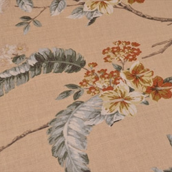 50cm [Laura Ashley] Laura Ashley /佛羅倫薩/ FLORINTINE /花朵圖案/棉亞麻布/布 第2張的照片