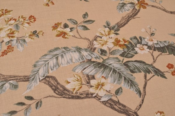 50cm [Laura Ashley] Laura Ashley /佛羅倫薩/ FLORINTINE /花朵圖案/棉亞麻布/布 第3張的照片