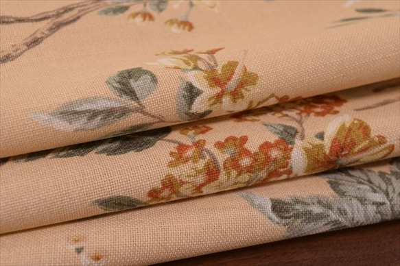 50cm [Laura Ashley] Laura Ashley /佛羅倫薩/ FLORINTINE /花朵圖案/棉亞麻布/布 第5張的照片