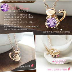 ★1 件現貨★ 二月紫水晶貓項鍊，含生日石，保護您所愛的人 K10 玫瑰金 第3張的照片