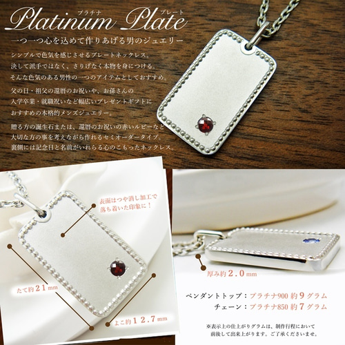 プラチナ 1月 ガーネット 誕生石 付き プレート ネックレス 本格