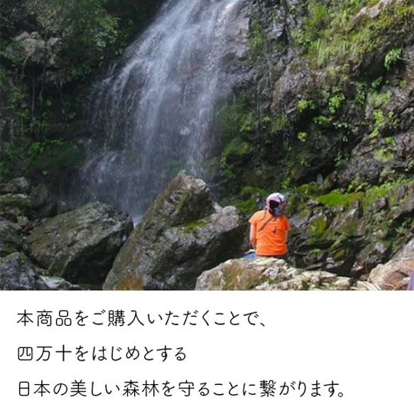 ひのきの大きなベンチボックス【組立不要／1年間無料保証／受注生産／配送時期未定】 8枚目の画像