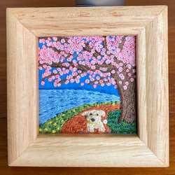 旅するわんこ『満開の桜の木の下で』 1枚目の画像