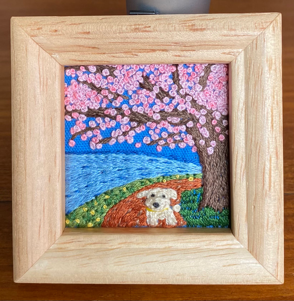 旅するわんこ『満開の桜の木の下で』 1枚目の画像
