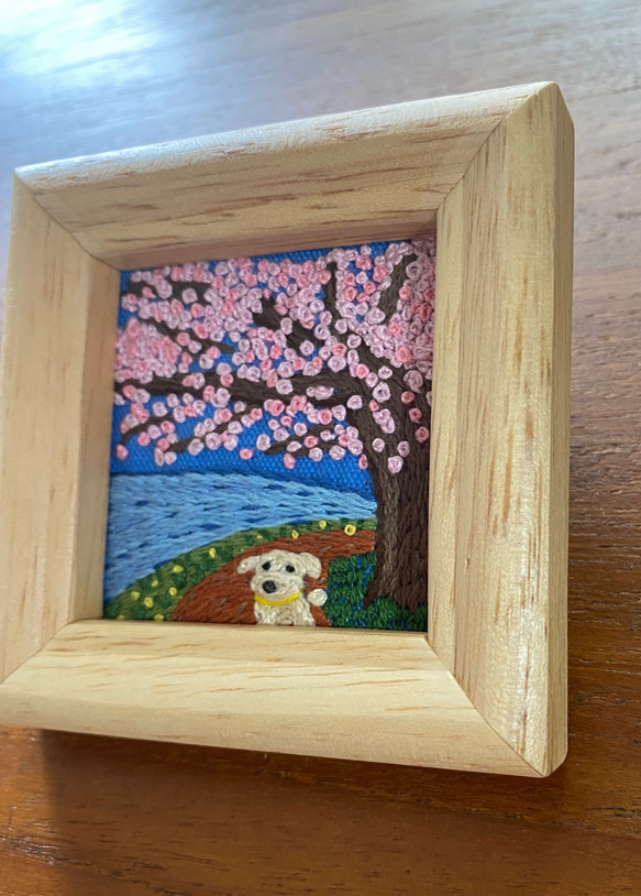 旅するわんこ『満開の桜の木の下で』 3枚目の画像