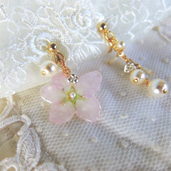 桜の花の押し花とビーズのイヤリング 2枚目の画像