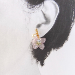 桜の花の押し花とビーズのイヤリング 4枚目の画像